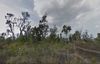 92 Mamalahoa Hwy photo